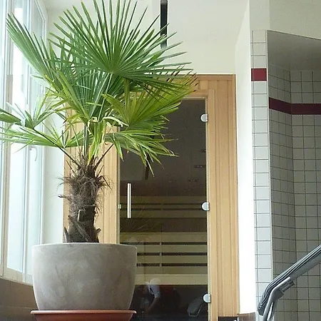 Western Amedia Art Hotel 4*